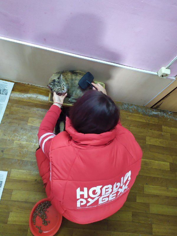 newrubezh's tweet photo. Кохомские новорубежцы посетили приют для животных «ЗОО37» #НовыйРубеж #ИвановскаяОбласть #Кохма https://t.co/OSbaaK6KGC https://t.co/NbgvtPe2Ad
