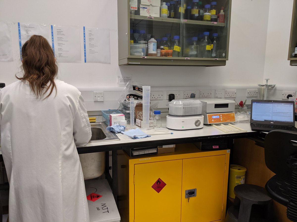 CoffeyLabUK's tweet photo. Summer student Megan and I are getting to grips with a new technique over the next few days #pilotdata #prostatecancer #sofarsogood @NICR_NCL https://t.co/Rcg7n6QDJe