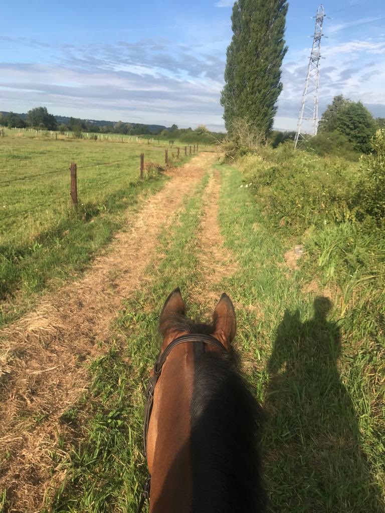 GeodeColigny's tweet image. Journée reposante... 💆🏻‍♂️ #homesweethome