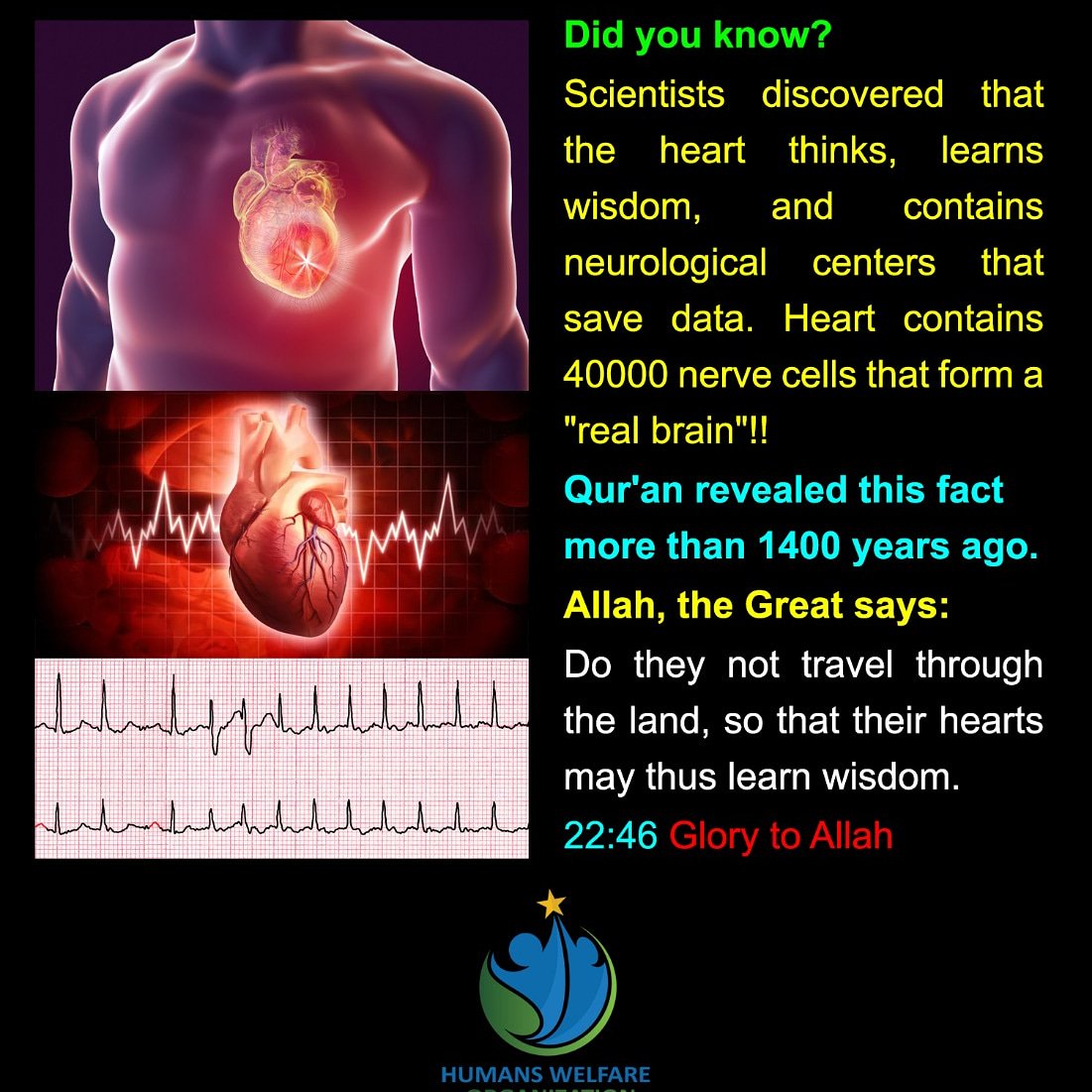 HumansWelfare's tweet image. Islam is truth