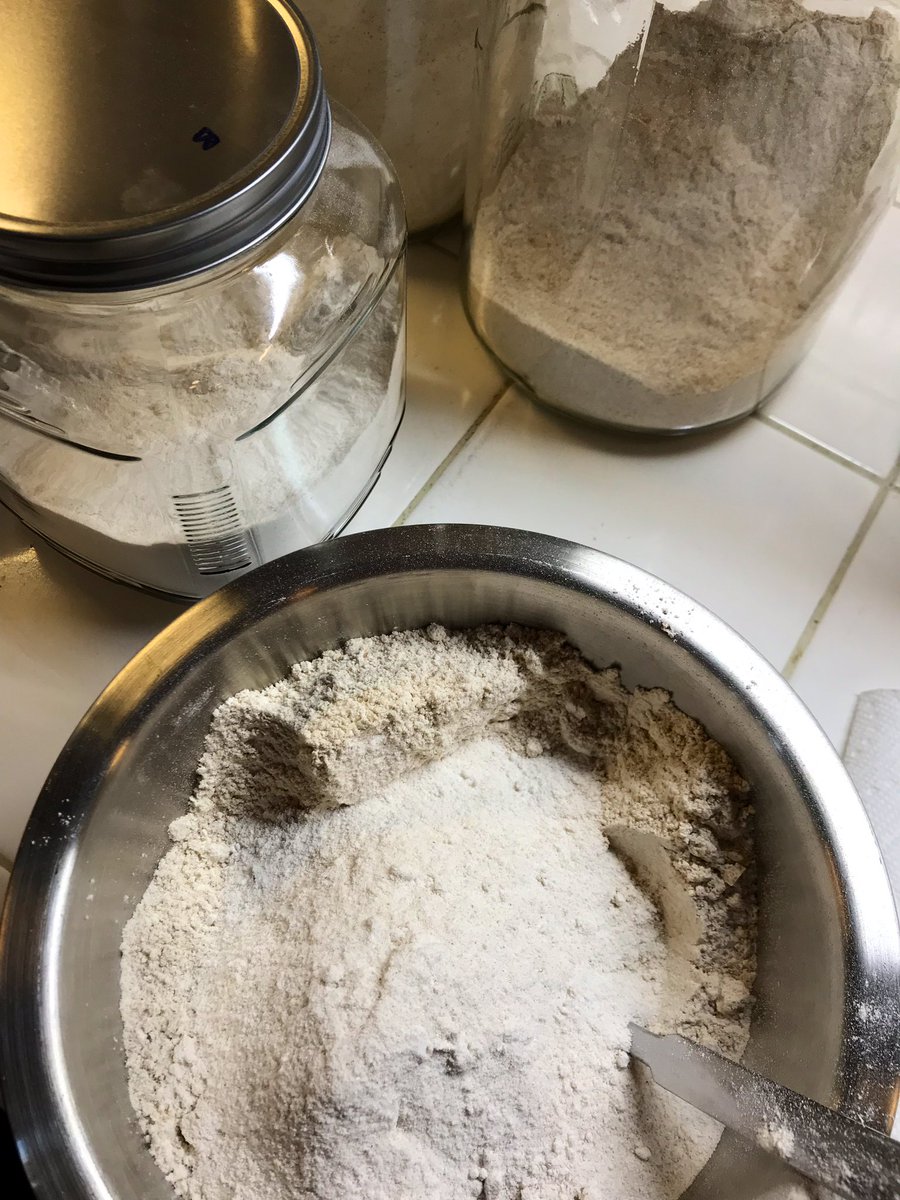 Today, after a week of feeding and careful culling, the sample was bubbly and ready to try baking with. All the grains used here are ancient, organic and milled fresh: barley and Einkorn and Kamut. Modern wheat was invented long after these organisms went to sleep.