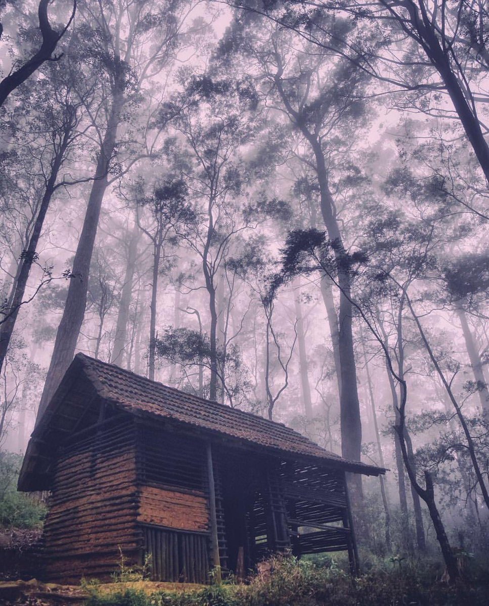 Make memories worth a lifetime with Tubatravels. Explore are resplendent Island with a tailor made tours to suit ur needs. For more info about bookings email us to tubatravels11@gmail.com 
Or you can Contact trough Call or Whatsapp +94 777299850. #visitsrilanka #tubatravels