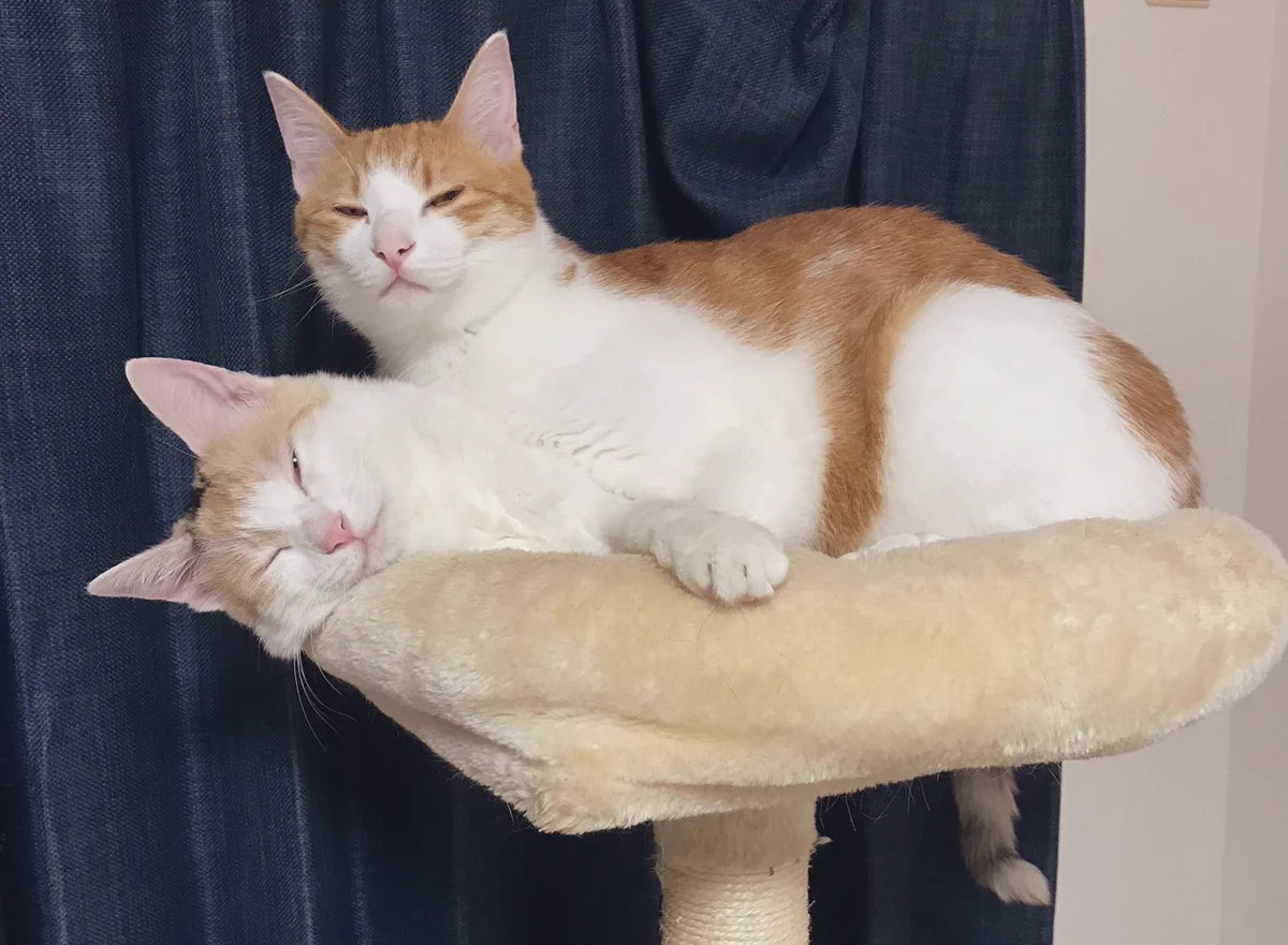 暑さで幽体離脱したと勘違いした！！本当だ・幽体離脱してる(笑)