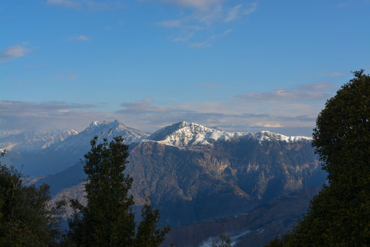 kaufverhalten der verbraucher 1965 kaufverhalten