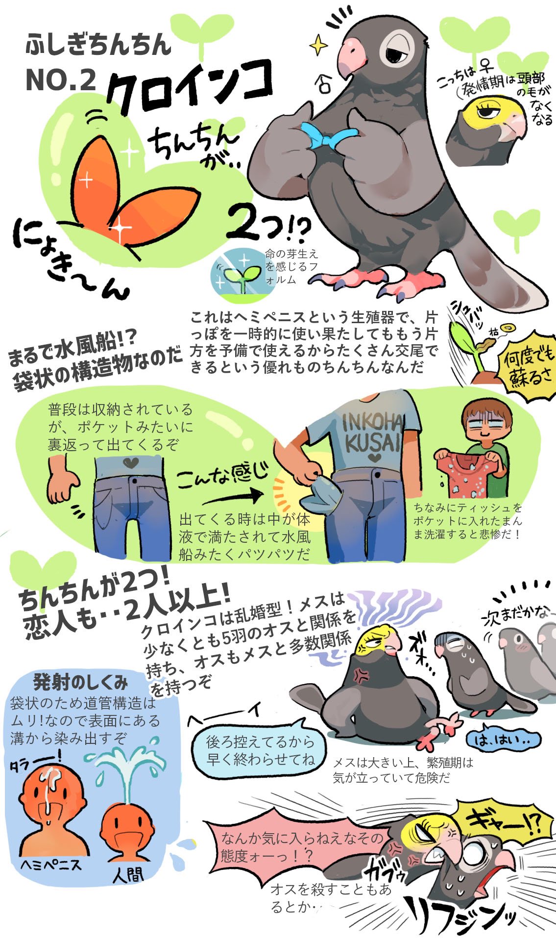 鳥 交尾 図解 ❤️ Best adult photos at doai.tv