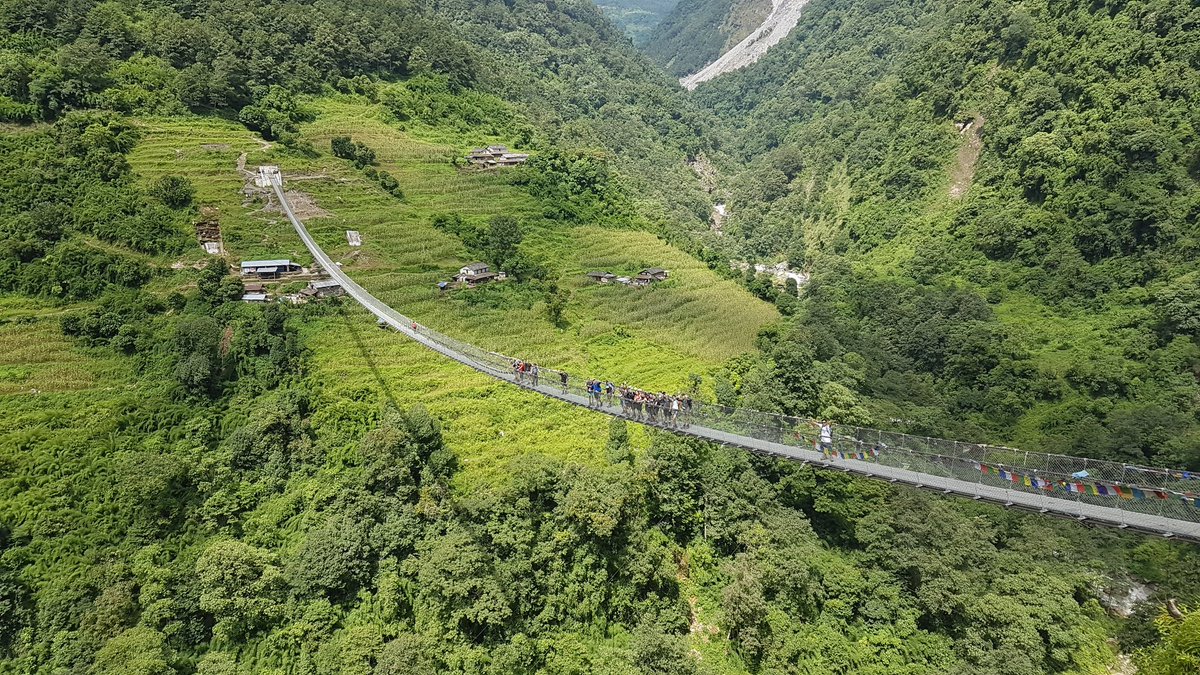 Ashlyns PE Department tweet media