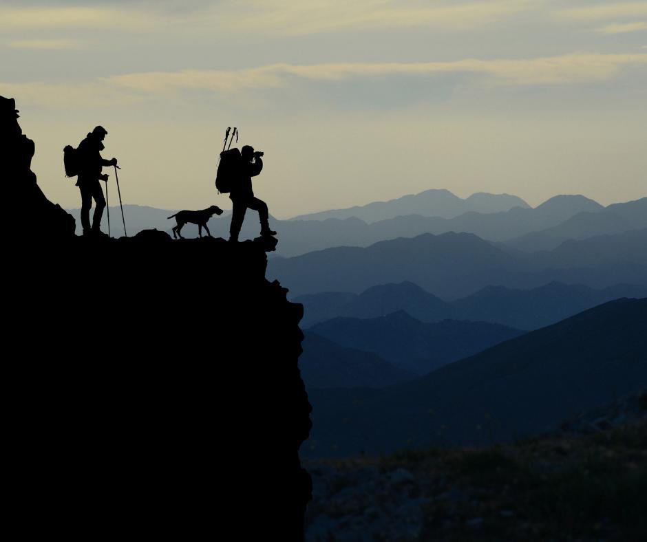 Where would you LOVE to go on your next holiday with your four legged friend?

passpawt.com