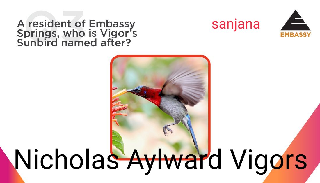 shucutiepie's tweet photo. @EmbassySprings Nicholas aylward vigors
#NatureConservationDay #contestalertindia
#contestindia #ContestEntry #EmbassySprings #EmbassyGroup #nature #birdwatching #fauna #environment #EmbassyEdge #contest
Join
@sanghvinikita5
@Sheetukankariy1
@G_hsr7
@aakash_beast786
@friends4_eve
@Ajay9790 https://t.co/OCf1QgMfib