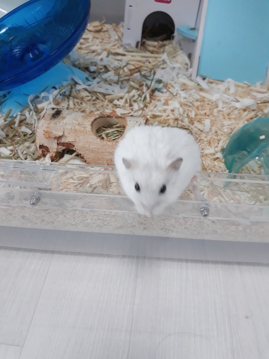 문열어라잉간!!(๑•̀ㅁ•́๑)✧

으아잉ㅇ열렸따!!!!!（ ・∀・）