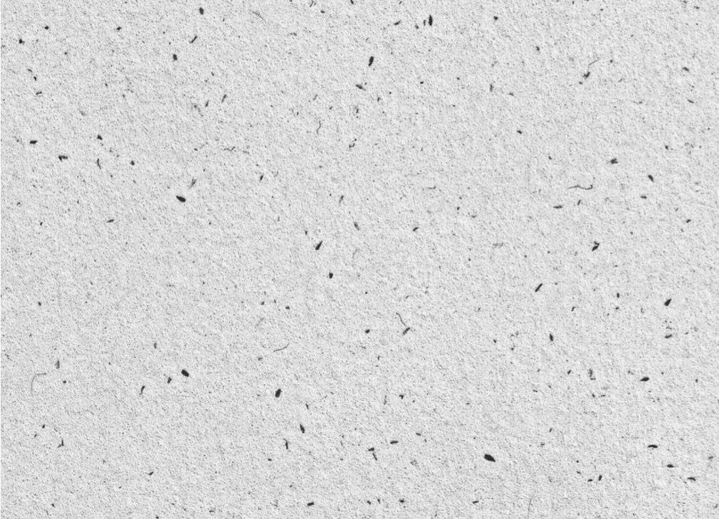 Nyhetsbrev fra House of Foundation: Early Birds-billetter til Lyse Netter 2020 er i salg frem til 20. august &amp; Møllebyen Litteraturfestival - mailchi.mp/6789f8dc2208/n…