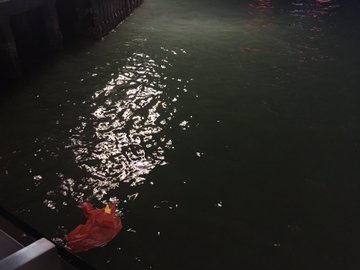 View image on Twitter