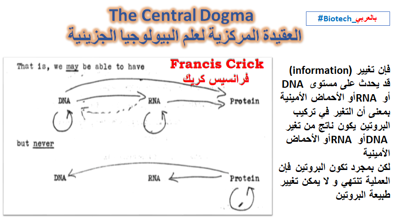 الوسم Centraldogma على تويتر