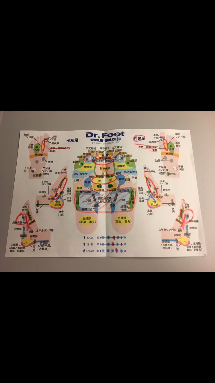 ドクターフット Twitter Search Twitter