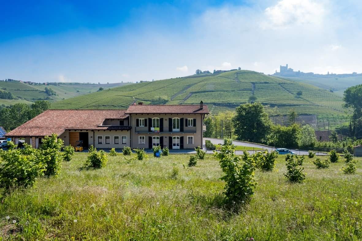 ⛱Open for #holidays! 🍷
We are open all summer long for winery tours and tastings: Monday to Friday 10.00 | 12.00 | 2.00| 4.00; Saturday 10.30 | 12.30 | 2.30; Sunday 10.30 | 12.30. Book your #Barolo Experience or your Authentic Experience 👉bit.ly/2MB9P7o