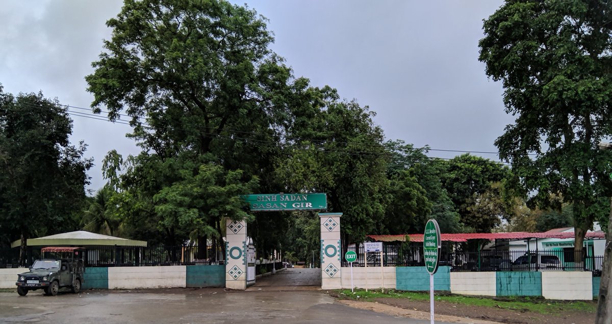 dhananjaybhuva's tweet image. A beautiful weekend in gir forest.
#zeroedit #nature #GirNationalPark #Lion #deer #forest