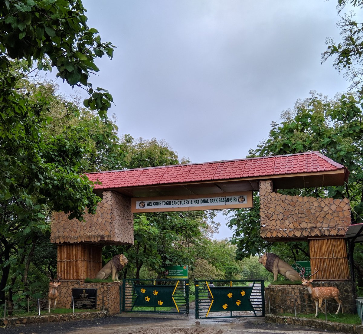 dhananjaybhuva's tweet image. A beautiful weekend in gir forest.
#zeroedit #nature #GirNationalPark #Lion #deer #forest