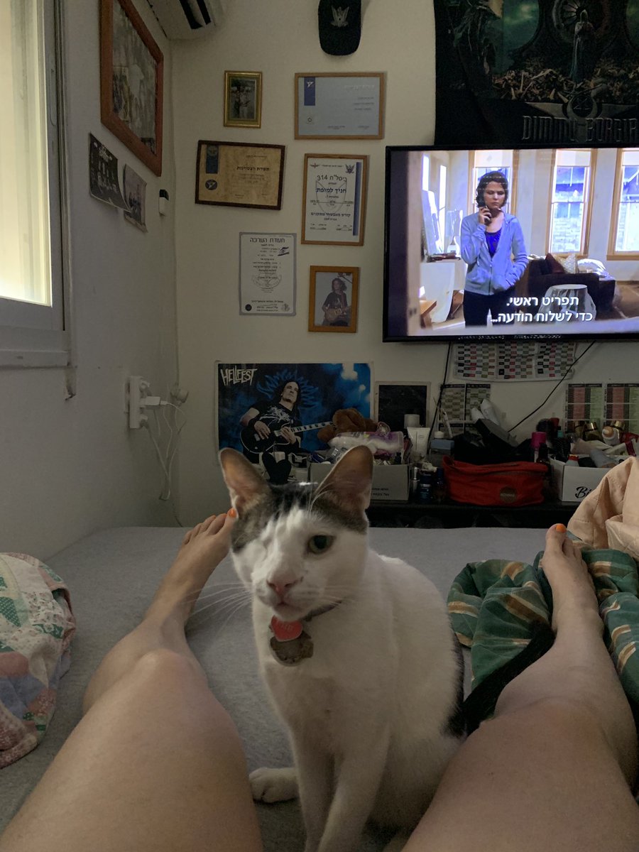 Just adore my one eyed cat Sammy #sammythecat