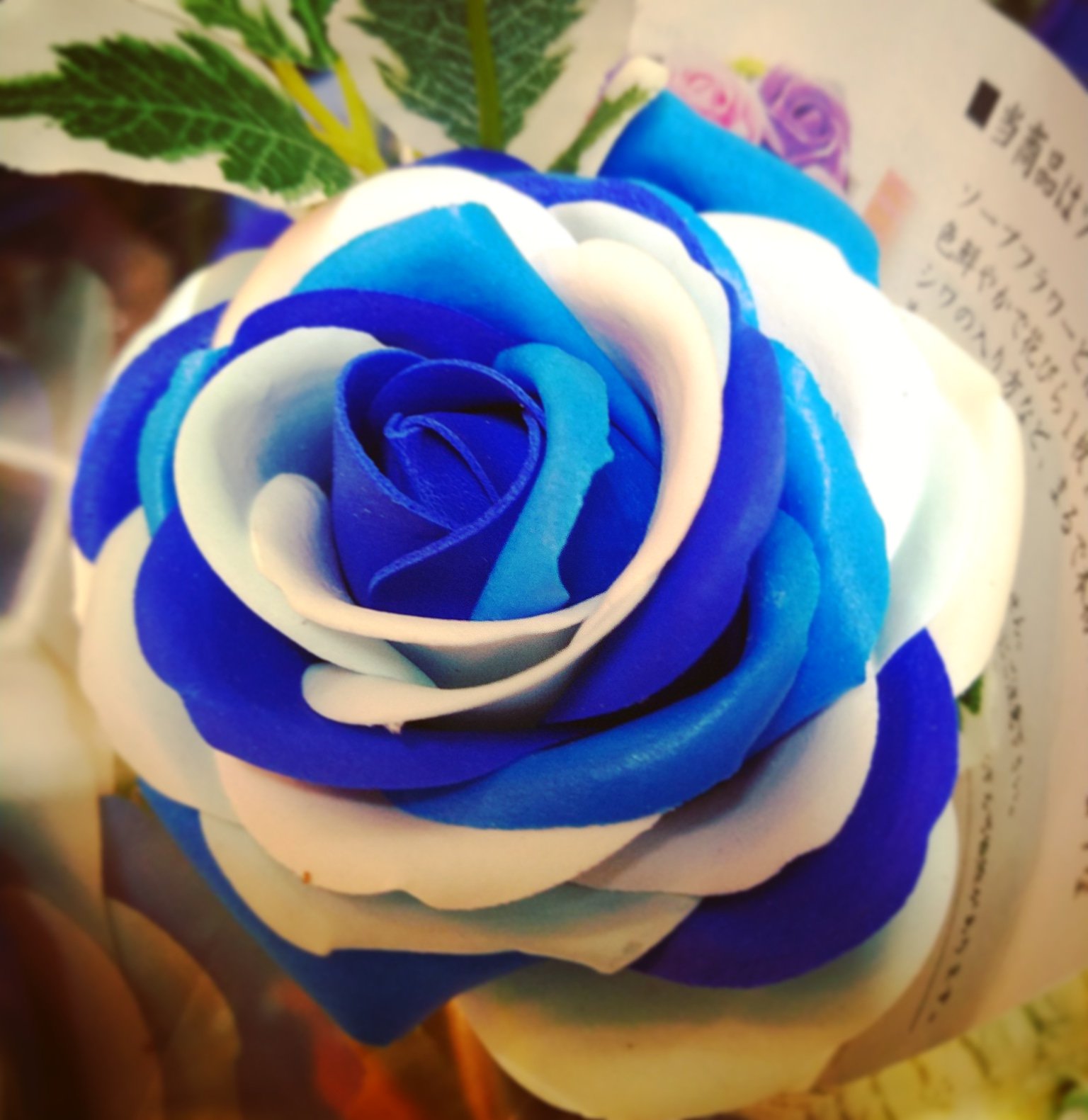 フローリスト自由花 Webスタッフ 当店オリジナル ブルーローズ 限定品 青いバラにつけられた花言葉 不可能 夢叶う 神の祝福 奇跡 などがあり 応援している方への贈り物にハナマル フローリスト自由花 北見 北海道 ソープフラワー サボン フローリスト自由花 Webスタッフ 当店オリジナル ブルーローズ 限定品 青いバラにつけられた花言葉 不可能 夢叶う 神の祝福 奇跡 などがあり 応援している方への贈り物にハナマル フローリスト自由花 北見 北海道 ソープフラワー サボン
