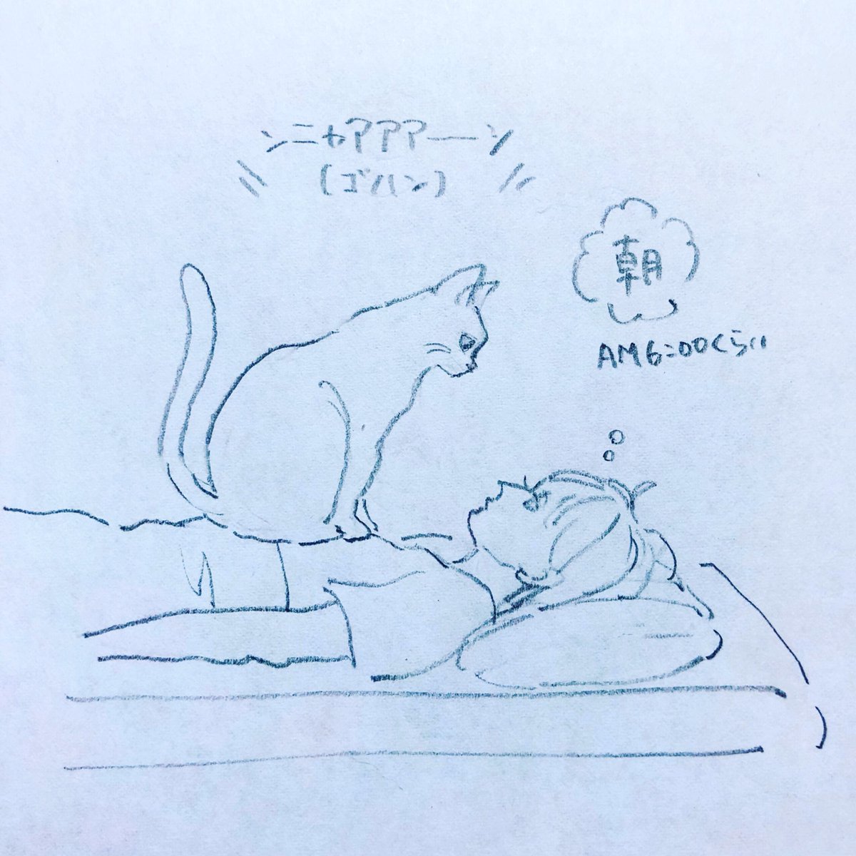 猫の好きなところ 