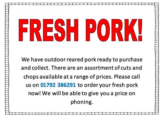 St Madoc tweet media