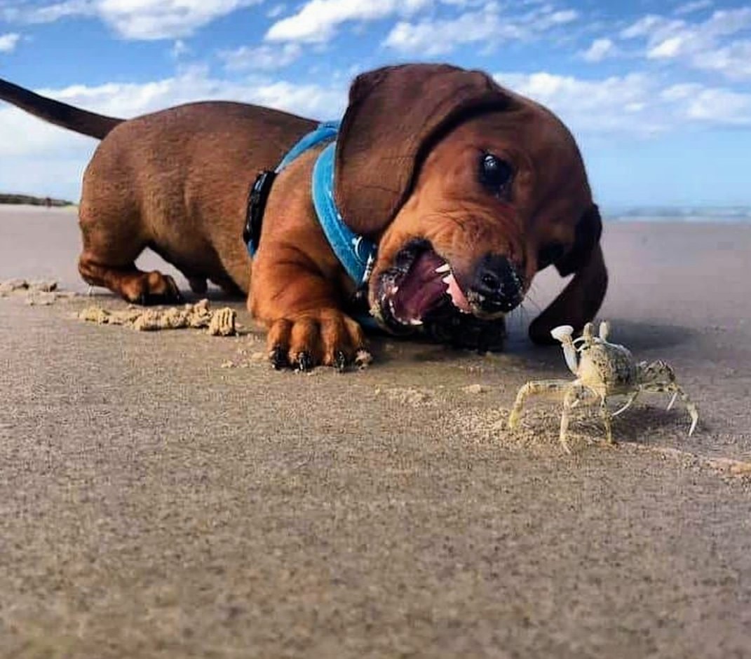 MattZeeMiller's tweet photo. #MondayThoughts__ creating happy #MondayMotivation chasing any bad vibes away !!! 🌞🌞🌞 https://t.co/dYFBJGA79w