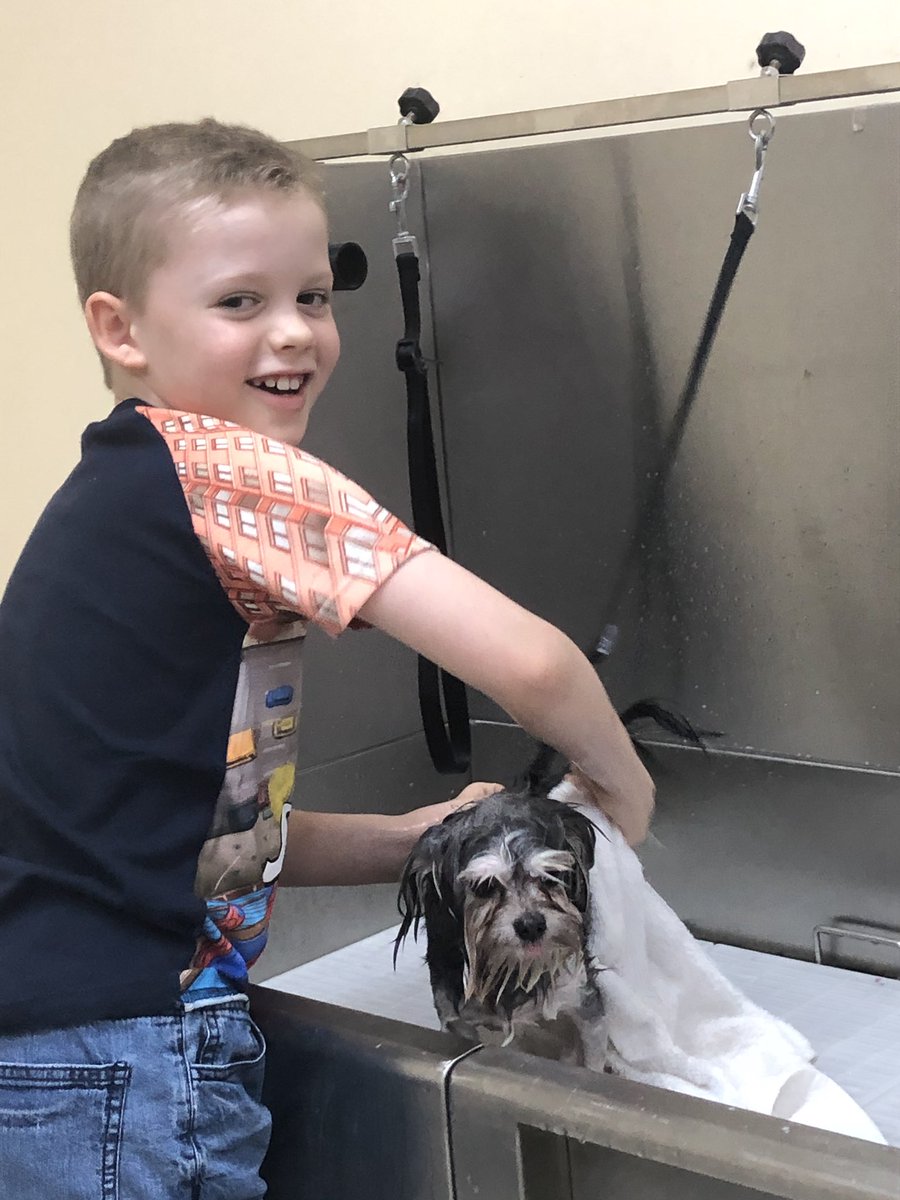 After adopting my own little rescue dog from PARA last year I decided to ‘give back’ to their wonderful cause by volunteering at the shelter! I had so much fun washing this special pup. #8WeekStreak #Parauae <a href="/KHDA/">KHDA | هيئة المعرفة والتنمية البشرية بدبي</a> <a href="/DIABarsha/">DIA Al Barsha</a>