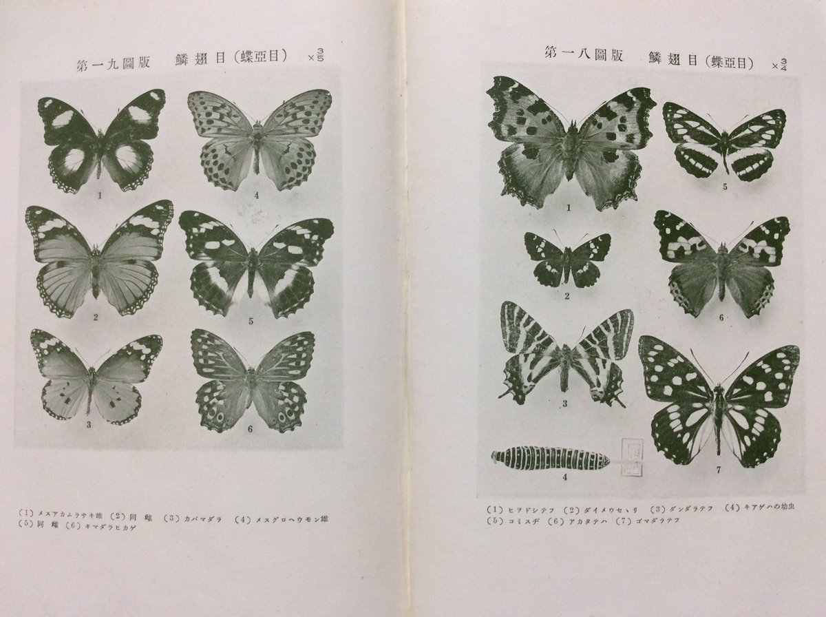 自然誌古典文庫 على X: 自然誌古典文庫 على X: