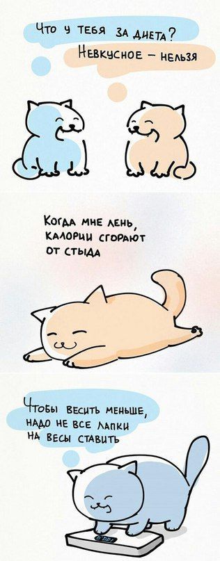 приколы про лень. лень. смешные высказывания про безделье. смешно про лень. цитаты про лень смешные.