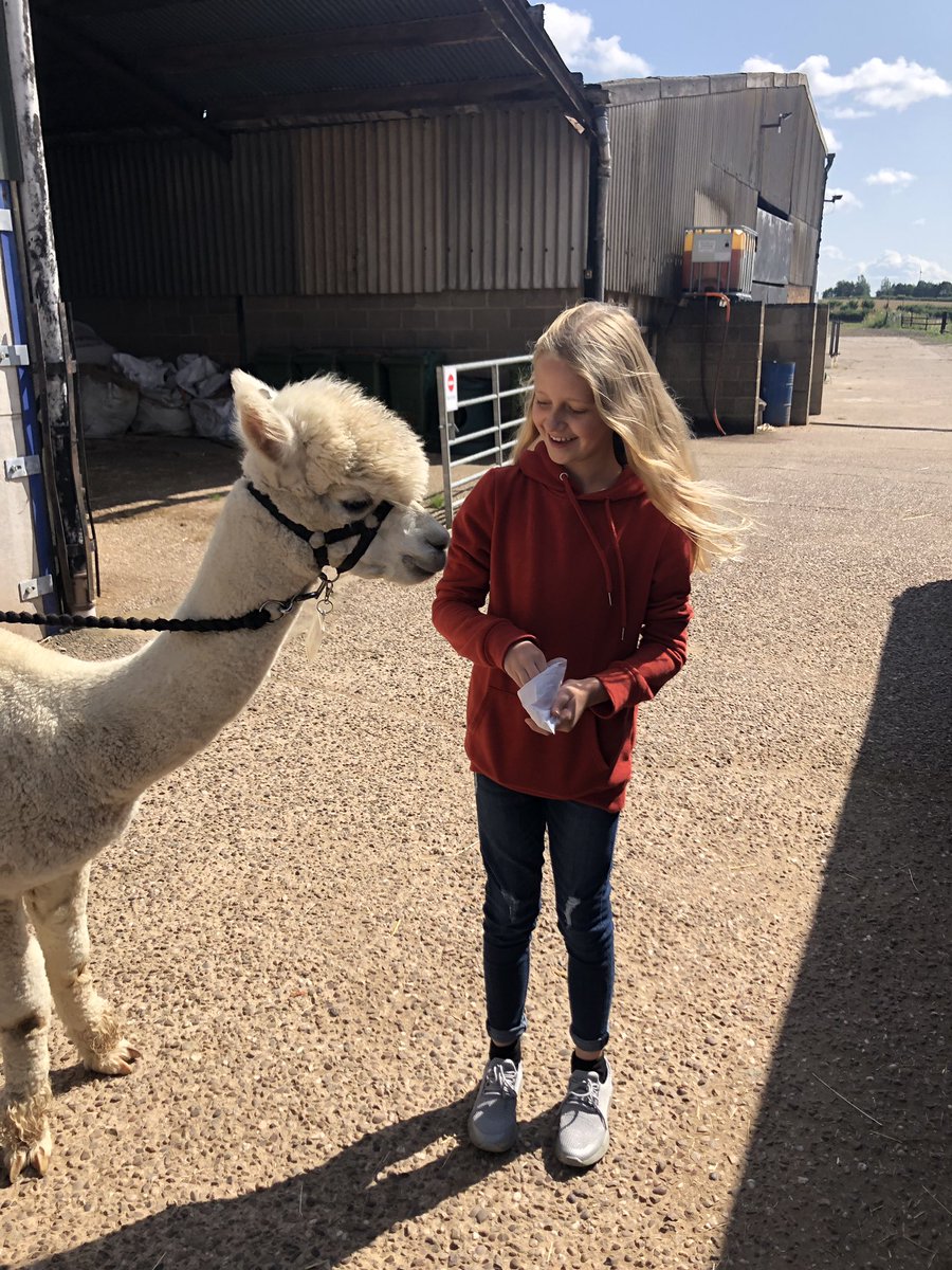Pussy just like alpaca — pic 8