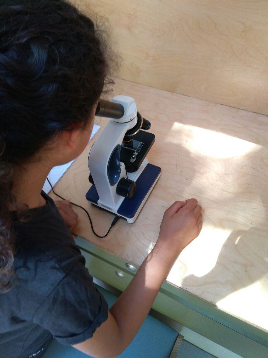 Petit_Deb_Occi's tweet photo. [🚛 Science Tour des Pyrénées ⛰️]

Expériences et animations à l'ombre des 🌳 du Parc des Thermes à Bagnères-de-Luchon. 
Les sciences en bas de chez toi, mais aussi au frais ! 

#sciencetour2019 #ilfaitchaud #CCPHG #luchon #adaptation #eau #montagnes #thermalisme #pastoralisme https://t.co/v4wiJcJQE3