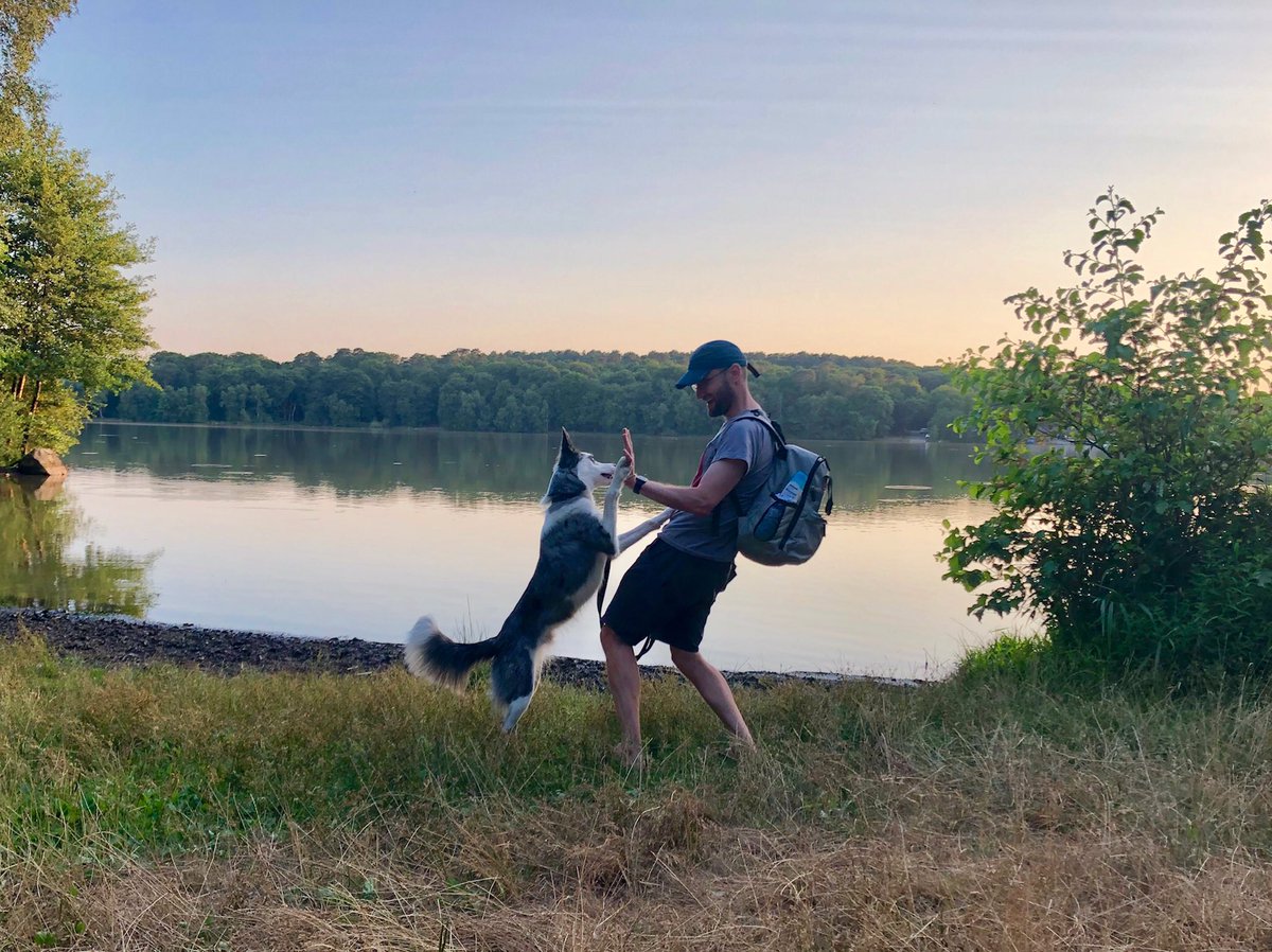 riggins_collie's tweet photo. I went on a long drive. I slept in a house that came with us ⛺️. I played frisbee. I was a good dog. I love my papa and I love my brother and I love my mam. I’m a good dog. https://t.co/DsIiwXfS2V