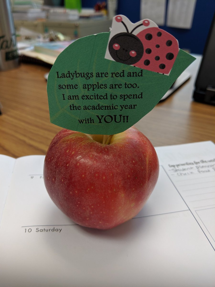 ♥️♥️♥️♥️ the first day faculty come back. So much positive energy. #Tccbrightspots #ilovemyjob