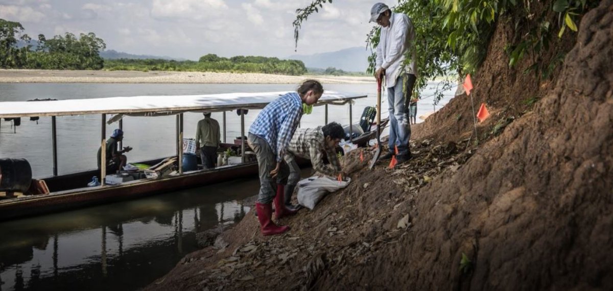 AmazonCTrust's tweet photo. The #Amazonforest is home of many people and a life sanctuary to be protected. Remains of a tiny primate, found in the #Peruvian amazon show what life was like 18 million year ago. 
 #primates @DukeUniRPG @UniversidaddePiura #Science #ResearchPaper https://t.co/IC46MwVHZK