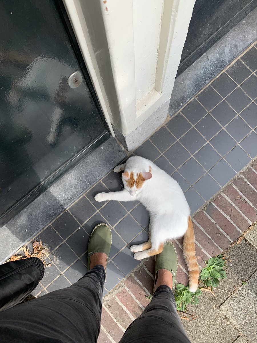KimTikt's tweet photo. Ik ga niet weg voordat ik mee naar binnen mag. Dus ik ga hier gewoon liggen wachten. #aanloopkat #zucht https://t.co/3IT4PJFaO2