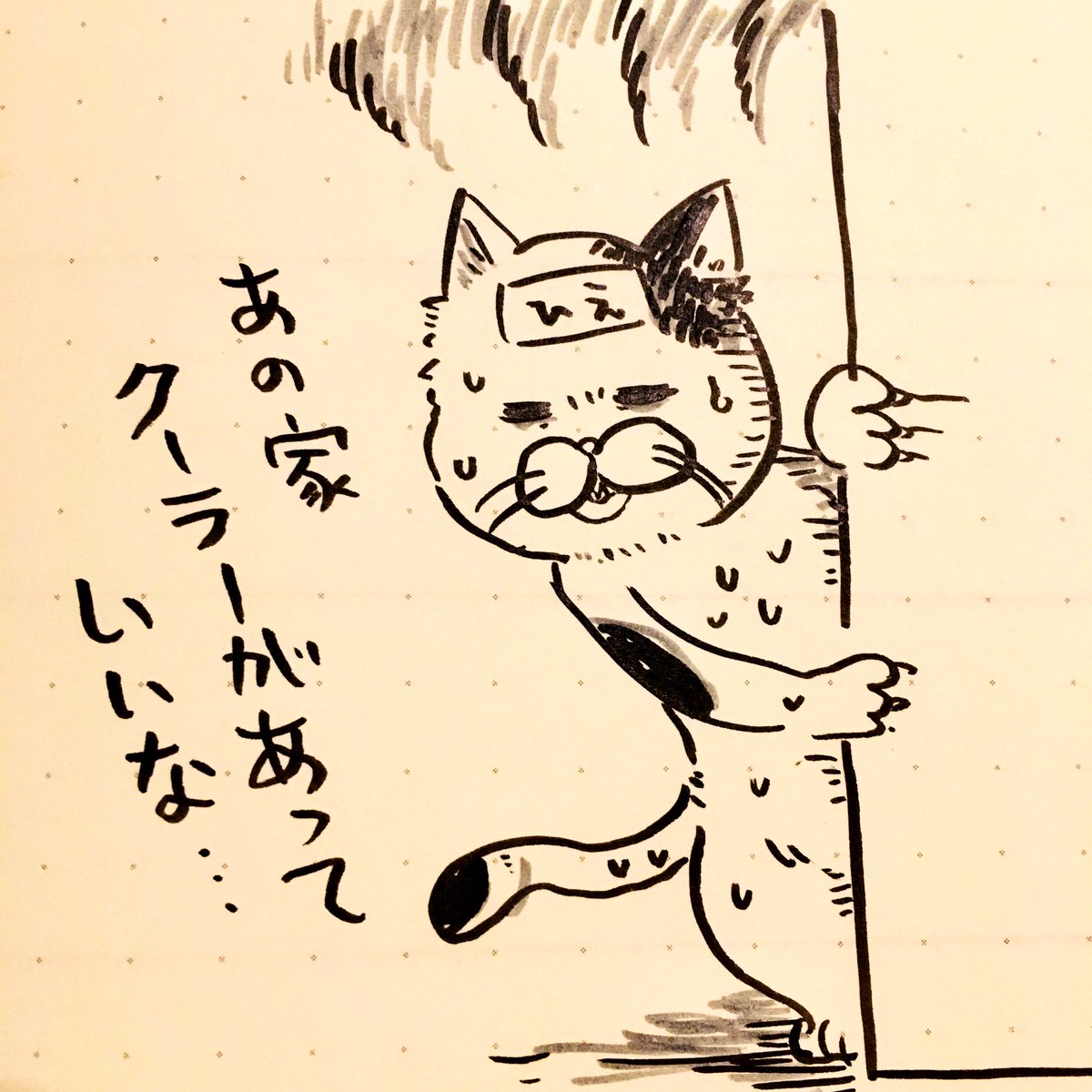 ねたむねこ 