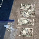 動物を飼っている人必見!飼っているインコにやられた諭吉さんが悲惨…