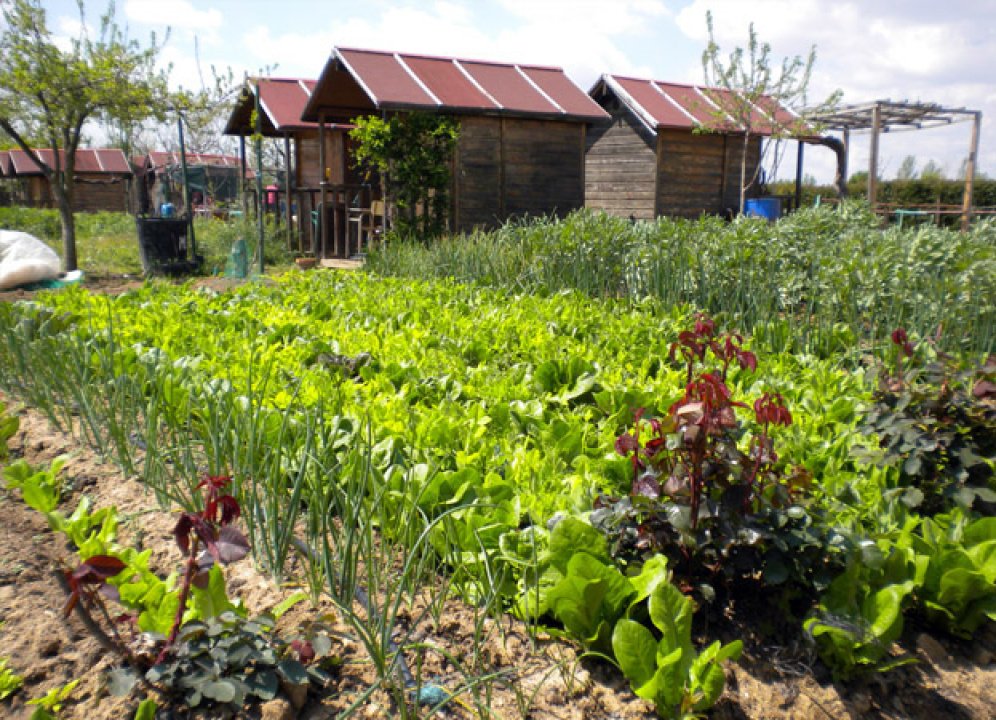 Foto cedida por Ayuntamiento de San Fernando