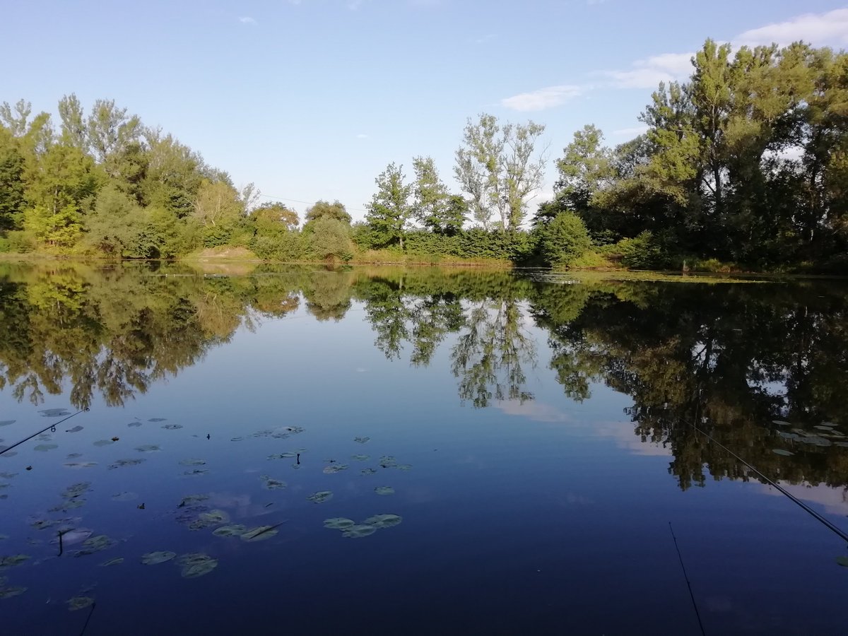 Vodan03's tweet photo. @PREZIDENTmluvci Zdravím rybáře i nerybáře. Sice jsem včera na rybách #NaSplavek chytil jel samé malé rybky, ale i tak jsem si to užil. Bylo krásně. A klídek a pohoda u vody je opravdový relax. https://t.co/PGV8zwrxaE