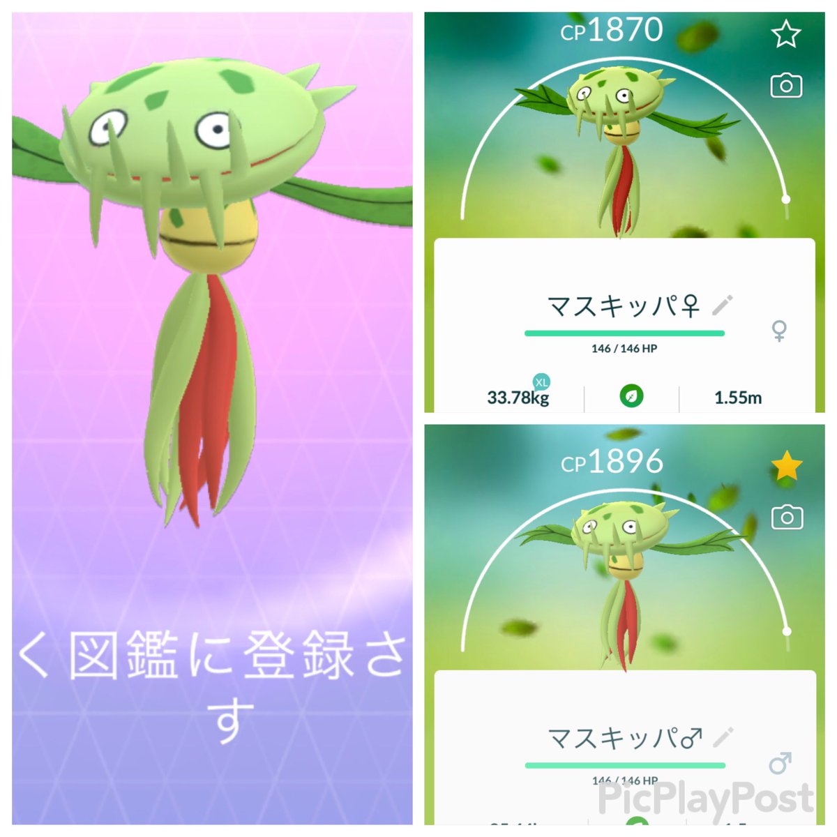 今週はポケカのちちみ 横浜きたぁああ フレンドさんに会ってマスキッパ強奪 ਊ いえあ 笑笑 めっちゃ盗撮されたし載せろってうるさいから載せます Yo マンホールに記念モジュールさせたの 今日はありがとうご