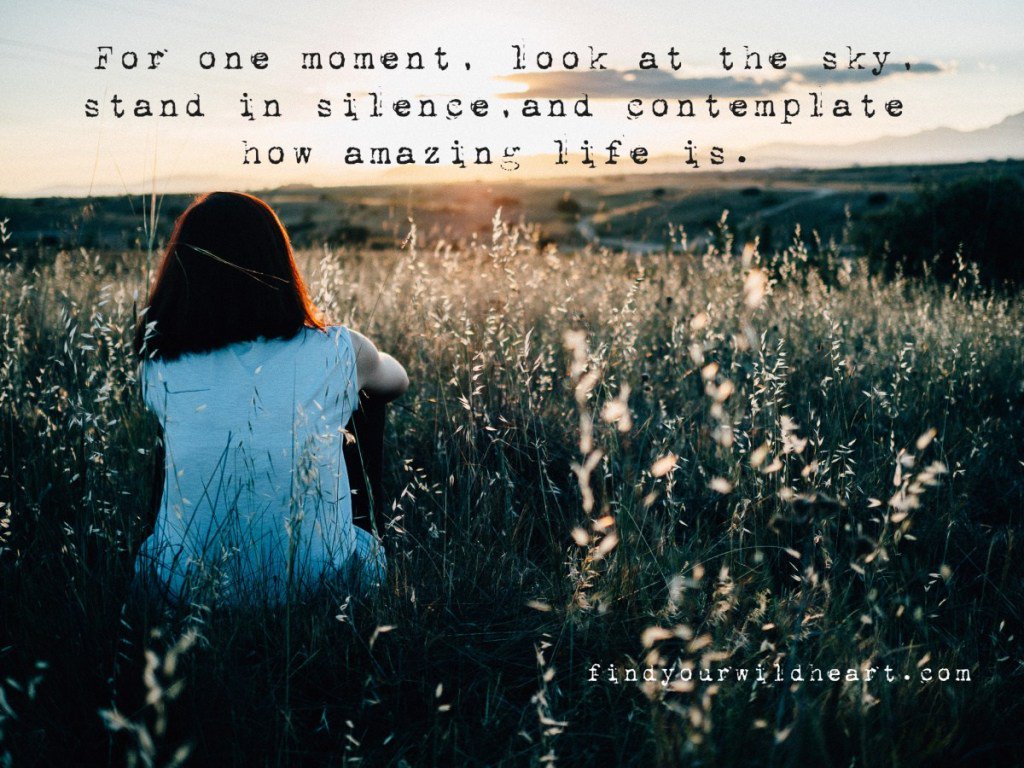 findurwildheart's tweet photo. Monday Motivational https://t.co/mkGLwvl64E https://t.co/wIePLL8apV