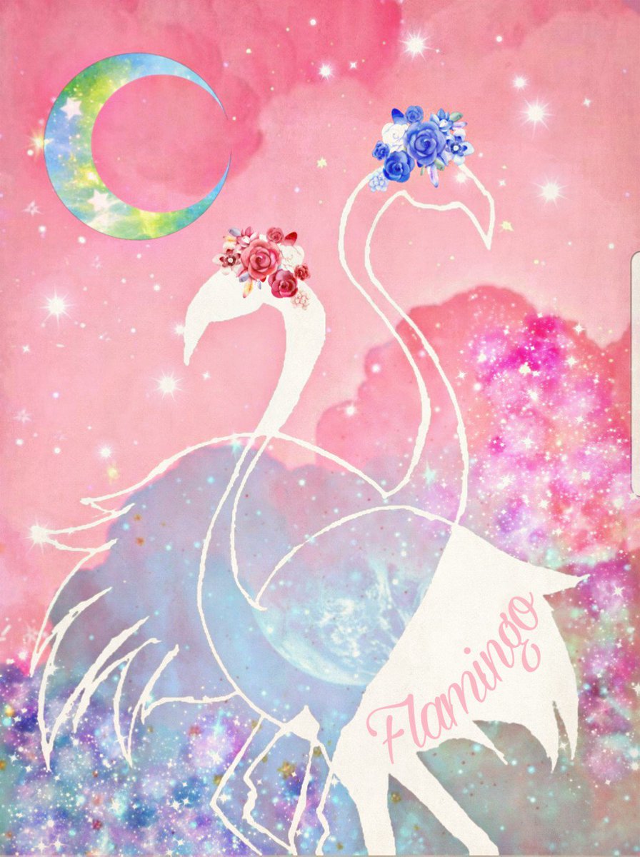 Seina58 フラミンゴってラテン語の 炎 を意味する Flamma に由来して名前がついたらしく その色の神秘性 美しさを象徴するにふさわしい由来だなと妙に納得してしまったw The Flamingo Name Is Derived From The Latin Flamma フラミンゴ
