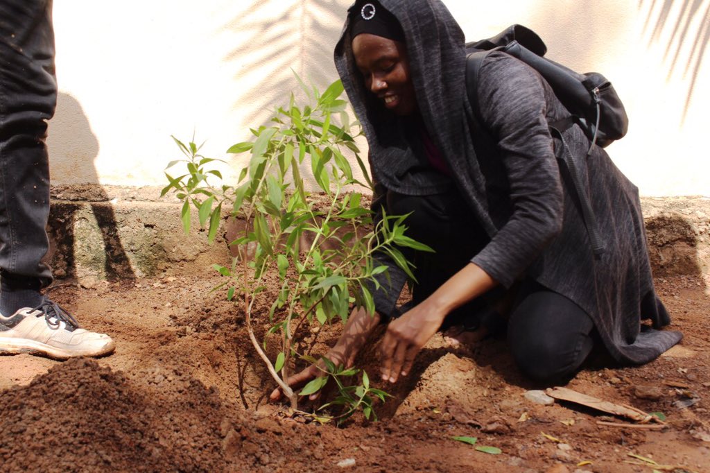 KoomaExpression's tweet photo. Fatoumata BAMANI engagée pour rendre #BamakoVert  @BamaniFatoumata https://t.co/iz37IcjqJv