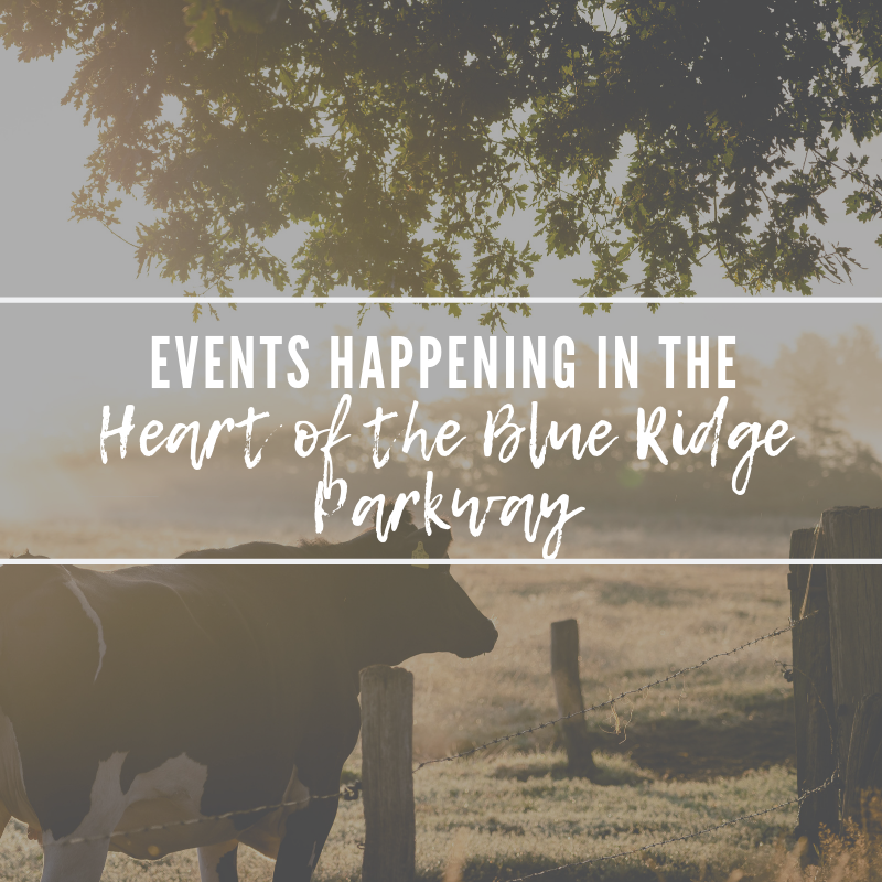 Check out These Events! 💥💥💥 - mailchi.mp/bcb4f35fe39a/c…