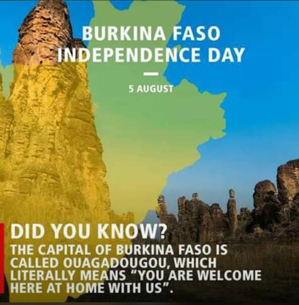 koandyous's tweet image. 