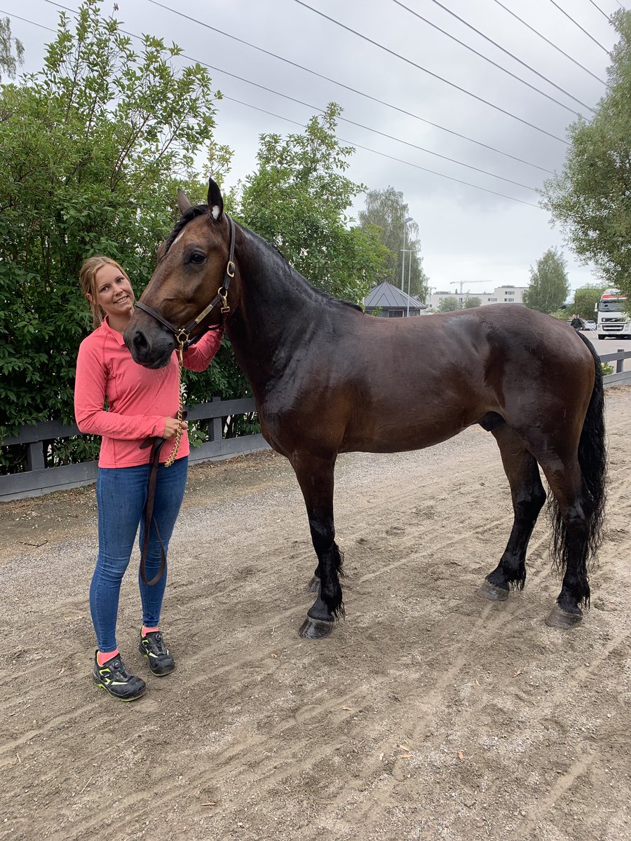 Solmyr Arvid 🥇🥇🥇