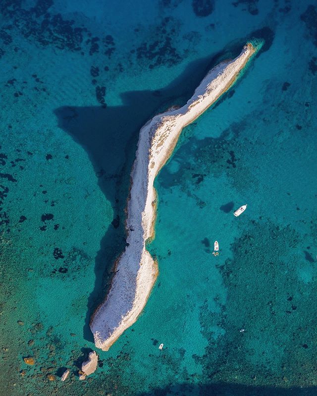 Filippo Rivetti tweet media