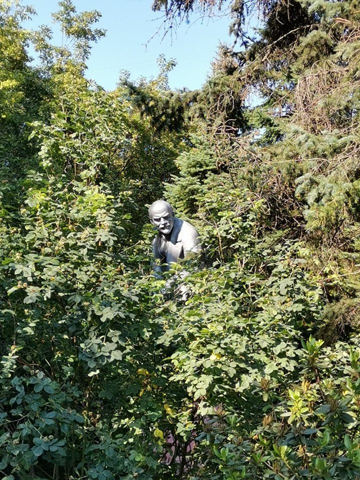 SebaGobert's tweet photo. Looking for Lenin in a summer hide-and-seek.
Boris Lyapin | St.Petersburg
#LookingforLenin
#Leninopad https://t.co/o5BkC6DnNF