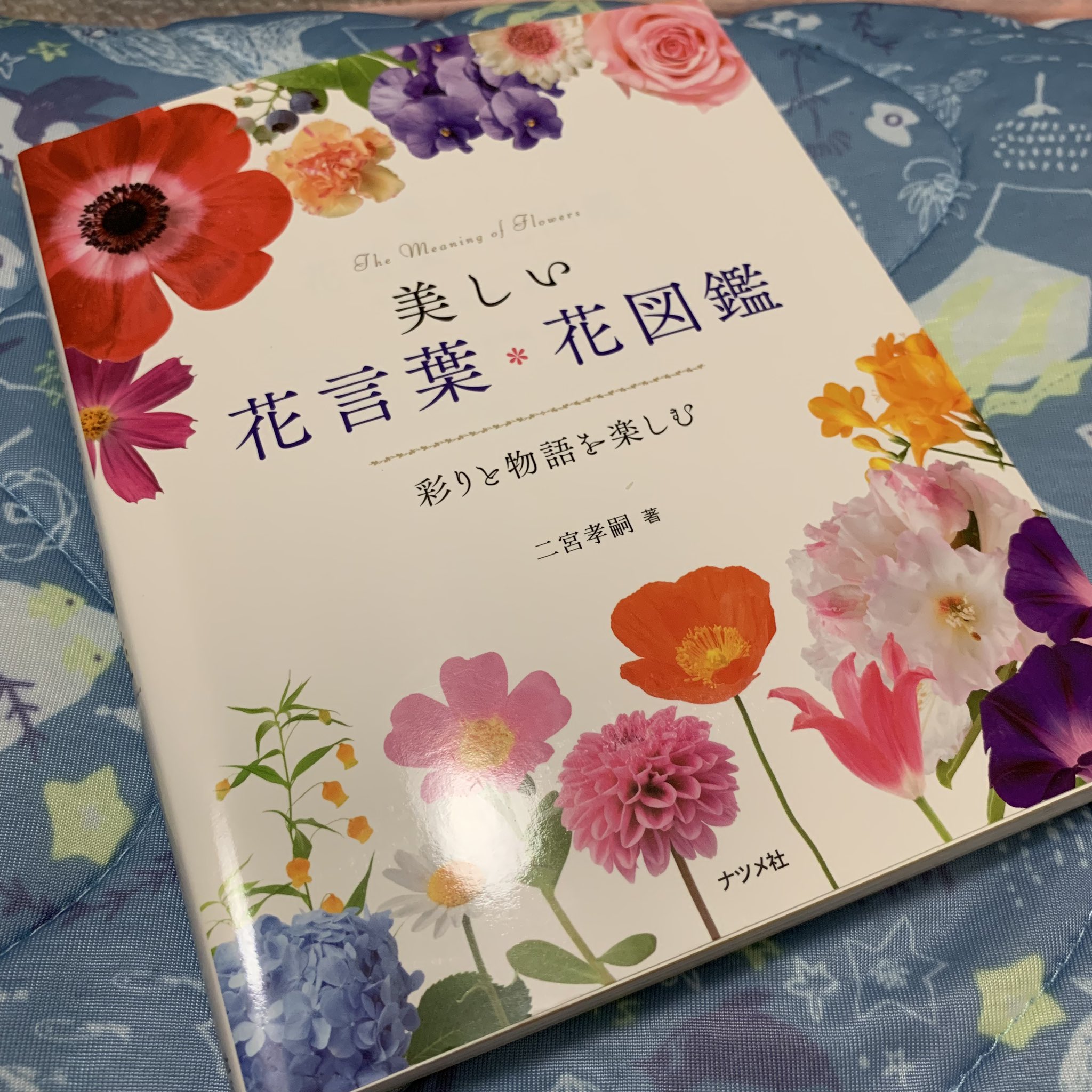 二宮孝嗣 Cerca Su Twitter Twitter