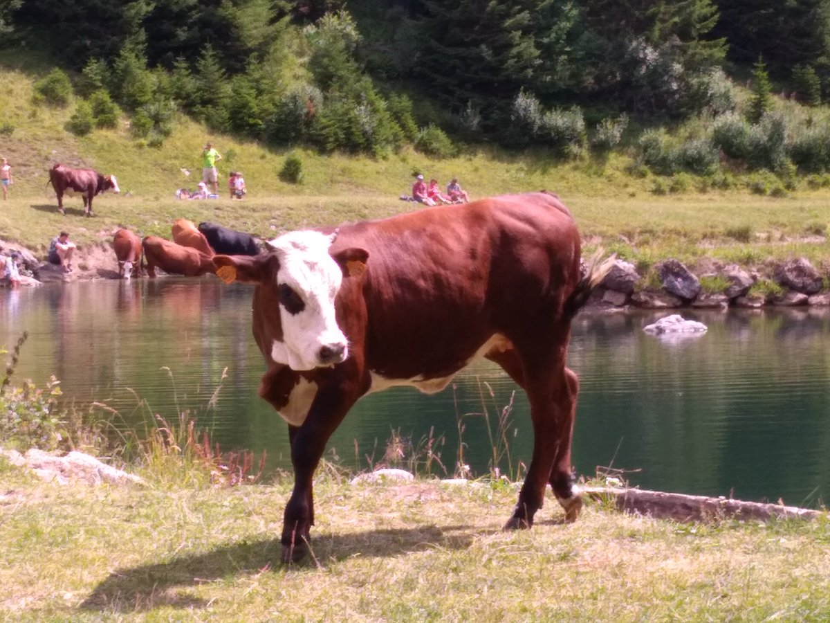 bernierpatrici2's tweet photo. On fait de belles rencontres à #superchatel @Chatel_Officiel https://t.co/iHtt2VZJH6