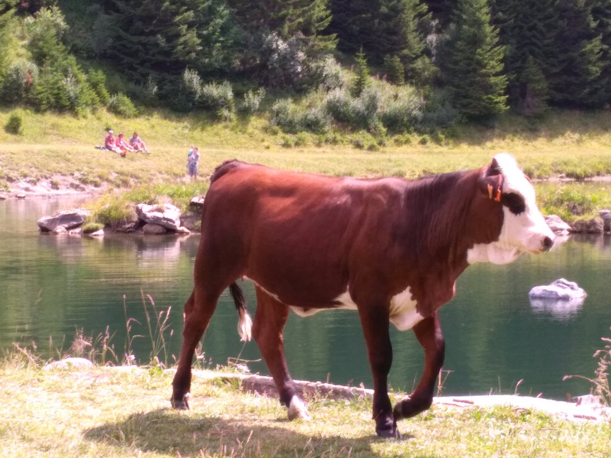 bernierpatrici2's tweet photo. On fait de belles rencontres à #superchatel @Chatel_Officiel https://t.co/iHtt2VZJH6